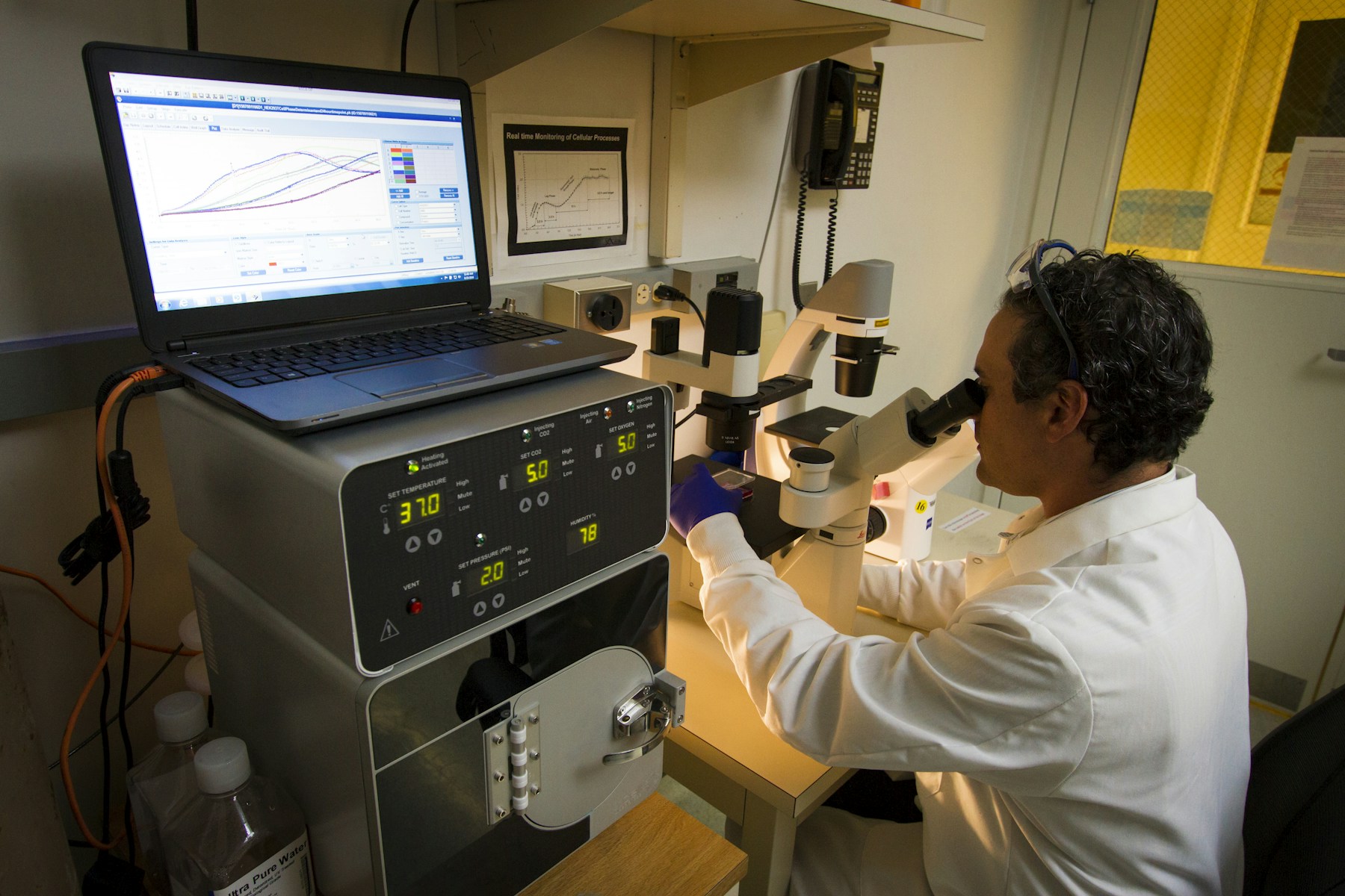 A laboratory researcher examining cells through a microscope